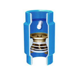 Ductile Iron Stemless Check Valve w Break Off Plug