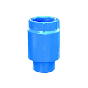 Ductile Iron Submersible Check Valve