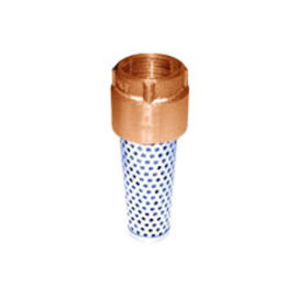 Foot Valve – Import